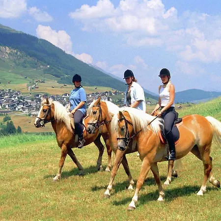 Cosy, Modern Canadian Wooden Chalé