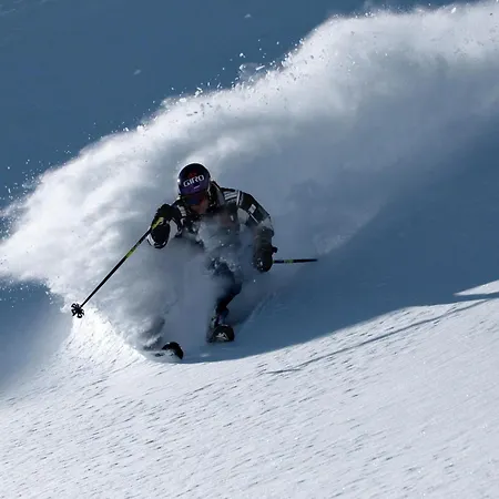 Chalé Cosy, Modern Canadian Wooden Ladis