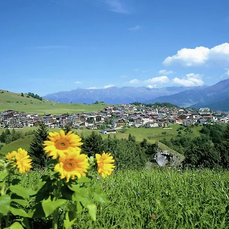 Cosy, Modern Canadian Wooden *